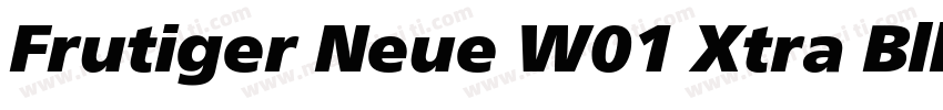 Frutiger Neue W01 Xtra Blk It字体转换